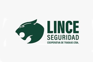 imagen_2025-11-12_041256943